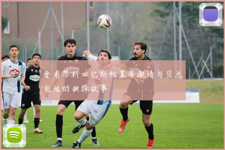 舍甫琴科回忆斯帕莱蒂邀请与贝总电话的抉择故事
